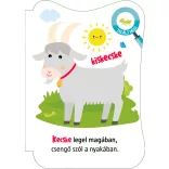 Háziállatok - mondókáskönyv (kartonkönyv)