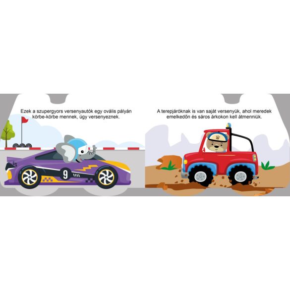 Villám és a versenyautók