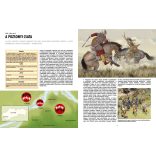 Magyar csaták tüzében (új)