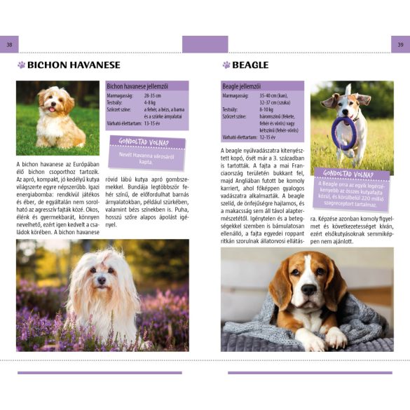 Kutyák - Természetbarátok zsebkönyve 