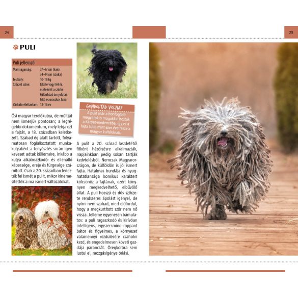 Kutyák - Természetbarátok zsebkönyve 