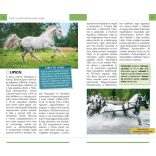 Lovak - Természetbarátok zsebkönyve