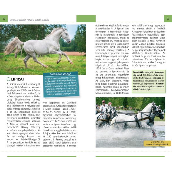 Lovak - Természetbarátok zsebkönyve