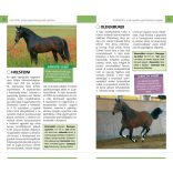 Lovak - Természetbarátok zsebkönyve