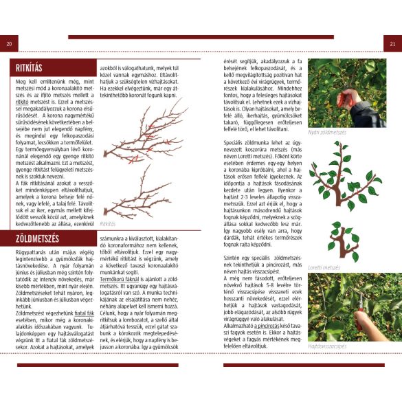 Metszés - Természetbarátok zsebkönyve 