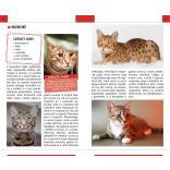 Macskák - Természetbarátok zsebkönyve 