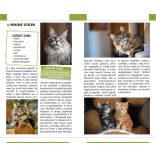 Macskák - Természetbarátok zsebkönyve 