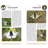 Lepkék -Természetbarátok zsebkönyve