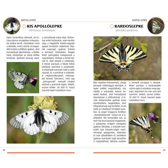 Lepkék -Természetbarátok zsebkönyve