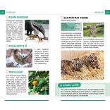 Állatkerti séta - Nyíregyházi Állatpark - Természetbarátok zsebkönyve