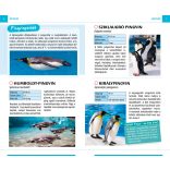 Állatkerti séta - Nyíregyházi Állatpark - Természetbarátok zsebkönyve