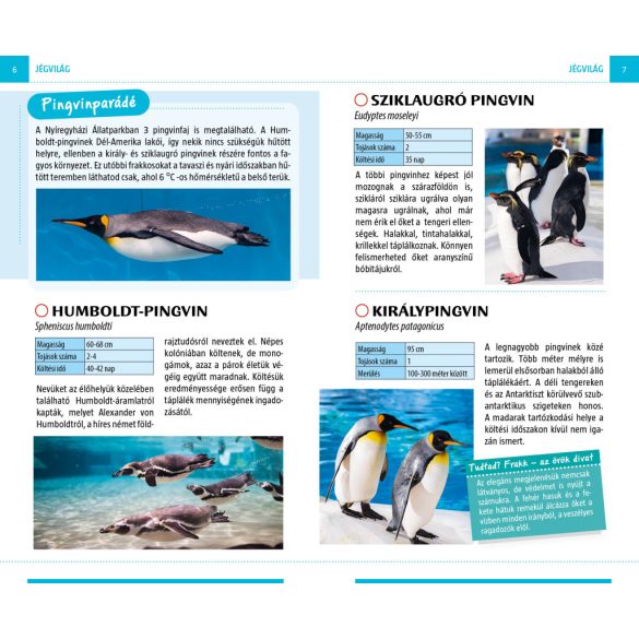 Állatkerti séta - Nyíregyházi Állatpark - Természetbarátok zsebkönyve