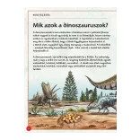 Varázslatos útmutató a dinoszauruszokhoz
