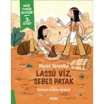 Lassú víz, sebes patak