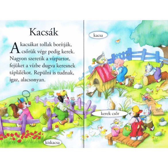 Ismerd meg a tanya állatait! - Olvass velünk! (1. szint) 