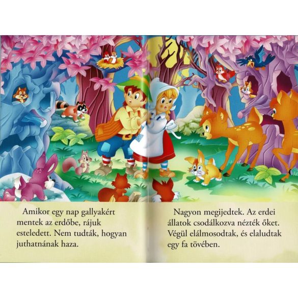 Jancsi és Juliska - Olvass velünk! (1. szint )