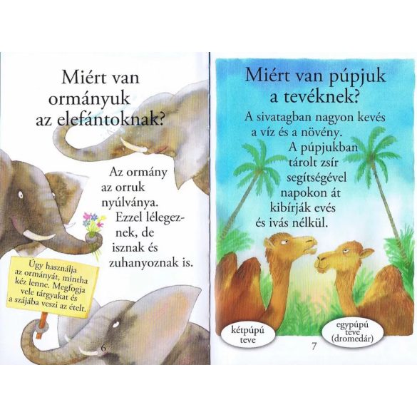 Kérdések az állatokról - Olvass velünk! (1. szint)