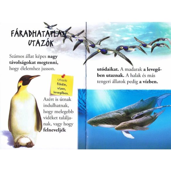 Vándorló állatok -  Olvass velünk! (1.szint)