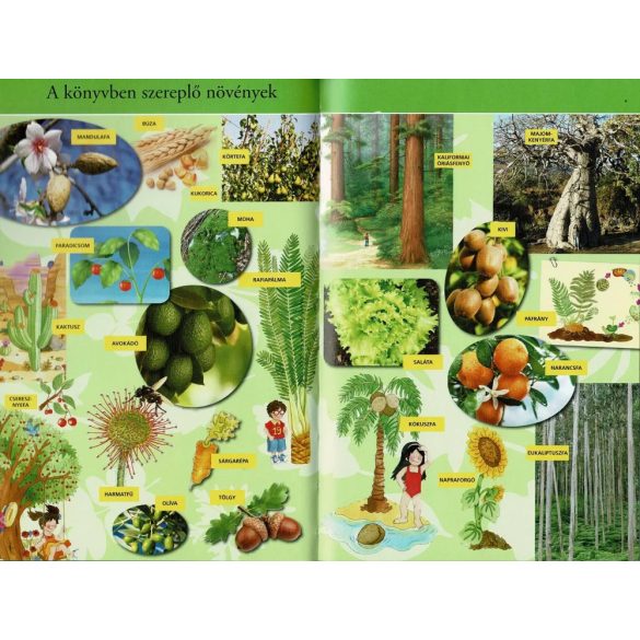  A növények titkai - Olvass velünk! (2) 