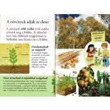  A növények titkai - Olvass velünk! (2) 