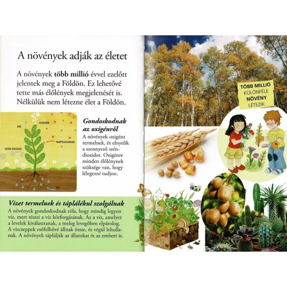  A növények titkai - Olvass velünk! (2) 