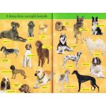 Barátunk, a kutya - Olvass velünk! (2 . szint) - 