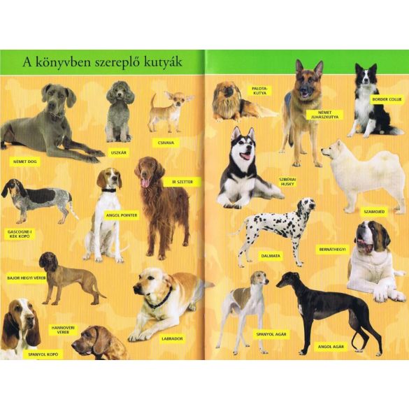 Barátunk, a kutya - Olvass velünk! (2 . szint) - 