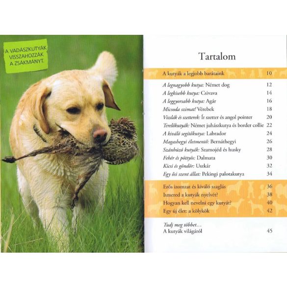 Barátunk, a kutya - Olvass velünk! (2 . szint) - 