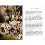 Állatfarm - Olvass velünk! (5.szint)