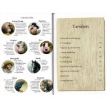 Állatfarm - Olvass velünk! (5.szint)