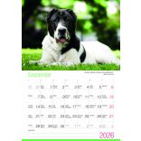 2026 Naptár: Kutyák