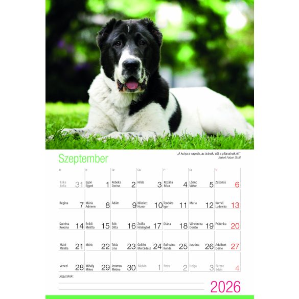 2026 Naptár: Kutyák