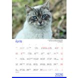 2026 Naptár: Cicák