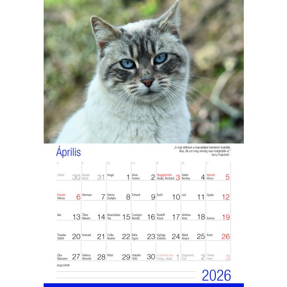 2026 Naptár: Cicák
