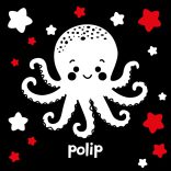 Bálnácska - kontrasztos fürdőskönyv játékkal 0+