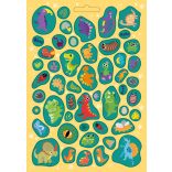 Dinókaland - 300 ragyogó matricával