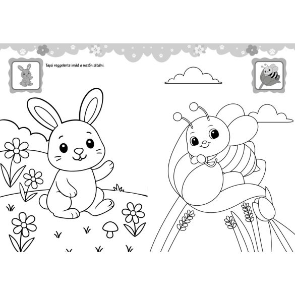 Erdei cukiságok matricás kifestő