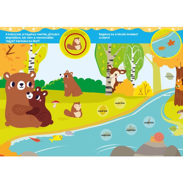 Mackó és barátai 3+