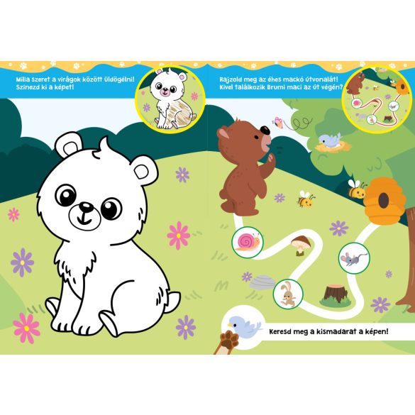 Mackó és barátai 3+