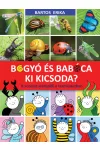 Bogyó és Babóca - Ki kicsoda?