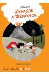 Tökmagok a tűzhányón