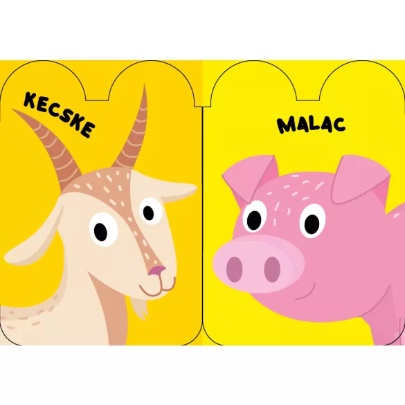 Háziállatok