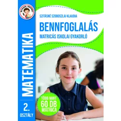   Ügyesedj, okosodj: Bennfoglalás matricás iskolai gyakorló 2. osztály 