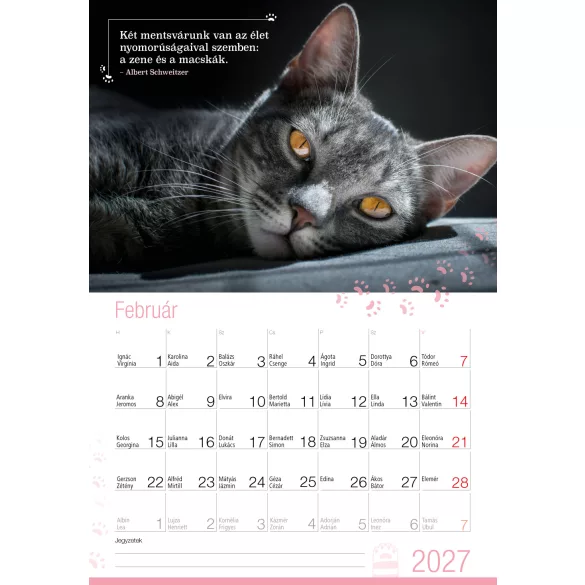 2027 Naptár: Cicák idézetekkel 