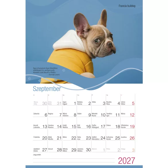 2027 Naptár: Kutyák idézetekkel 