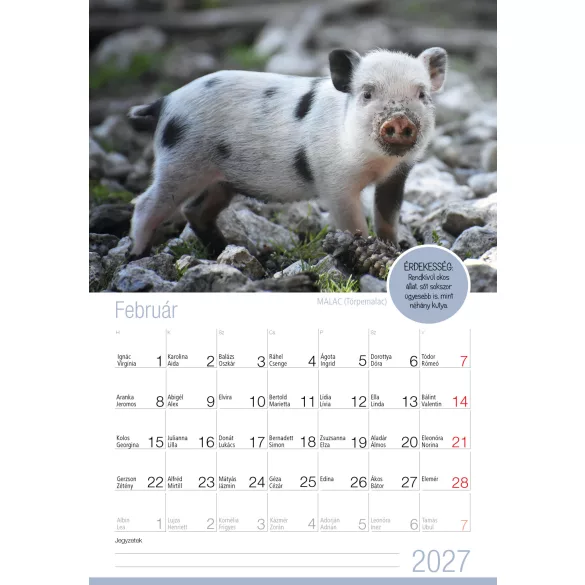 2027 Naptár: Cuki állatok