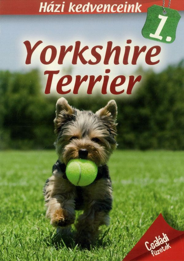 Házi kedvenceink 1. : Yorkshire terrier akciós termékkép 1