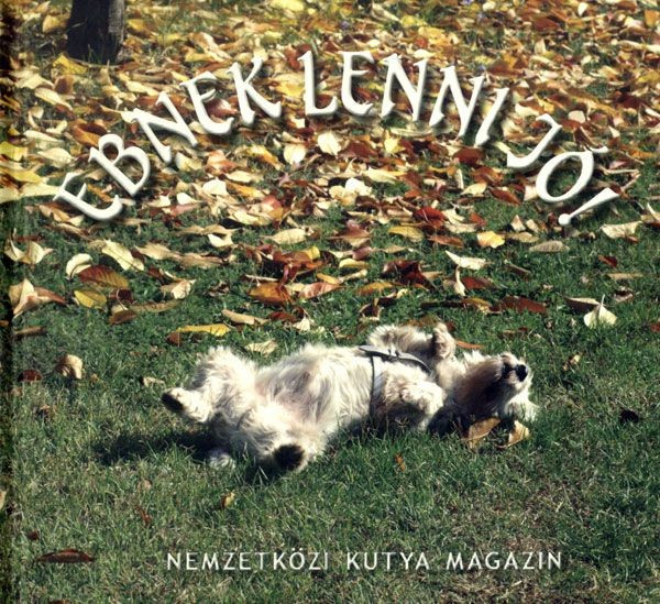 Ebnek lenni jó akciós termékkép 1