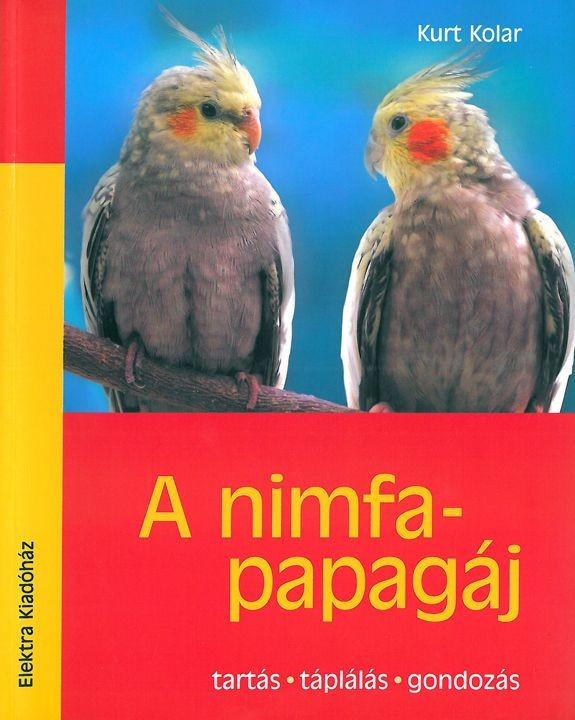 A nimfapapagáj akciós termékkép 1