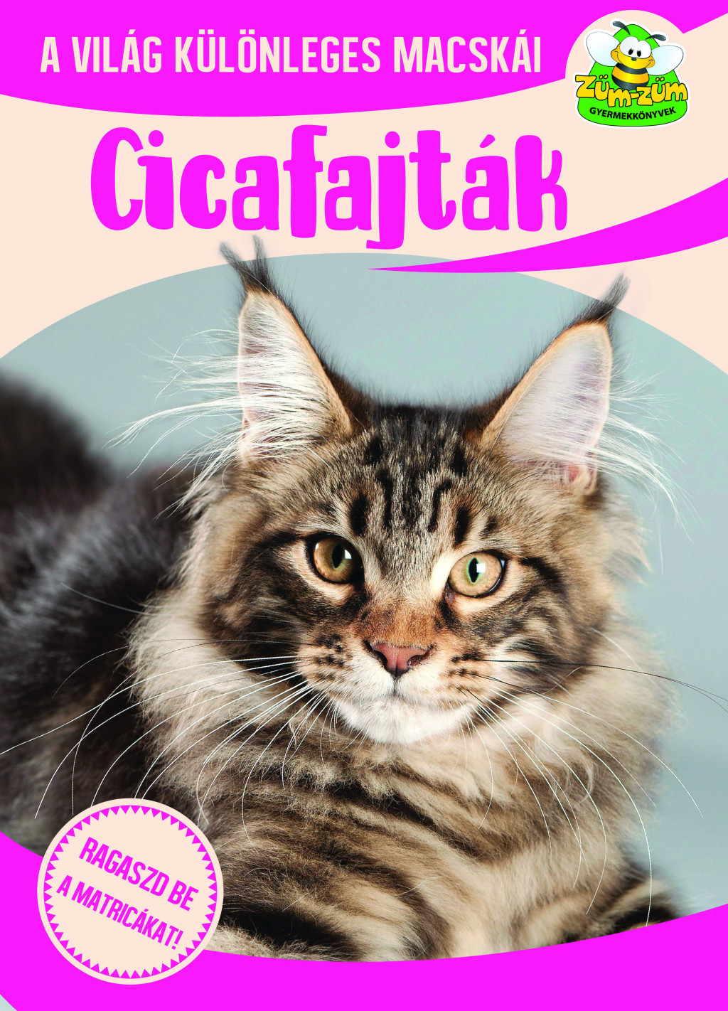Cicafajták - A világ különleges macskái akciós termékkép 1